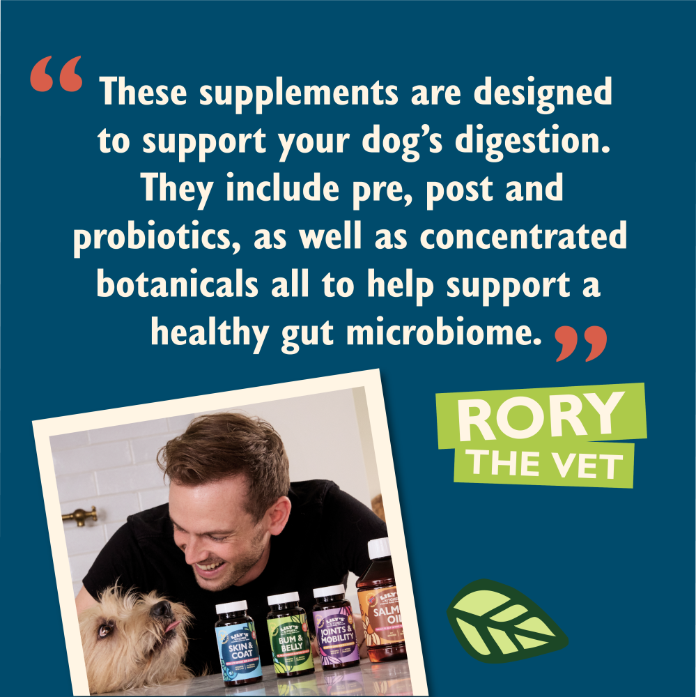 Bum & Belly Supplements for Dogs (60 capsules)