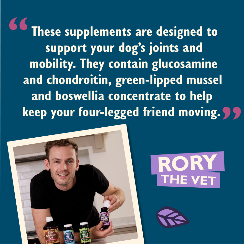 Joints & Mobility Supplements for Dogs (60 tablets)