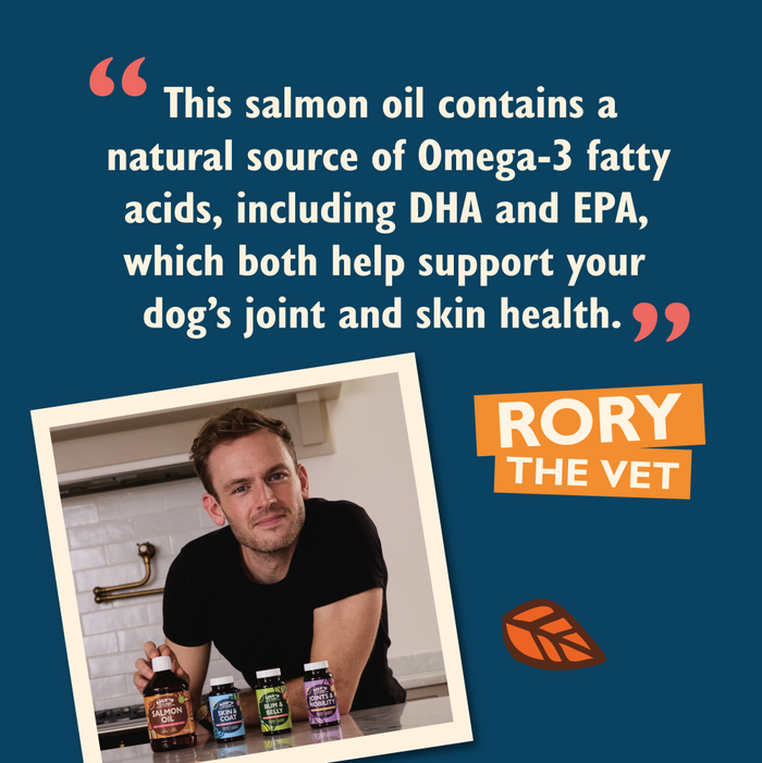 View of Norwegian Salmon Oil for Dogs (500ml)