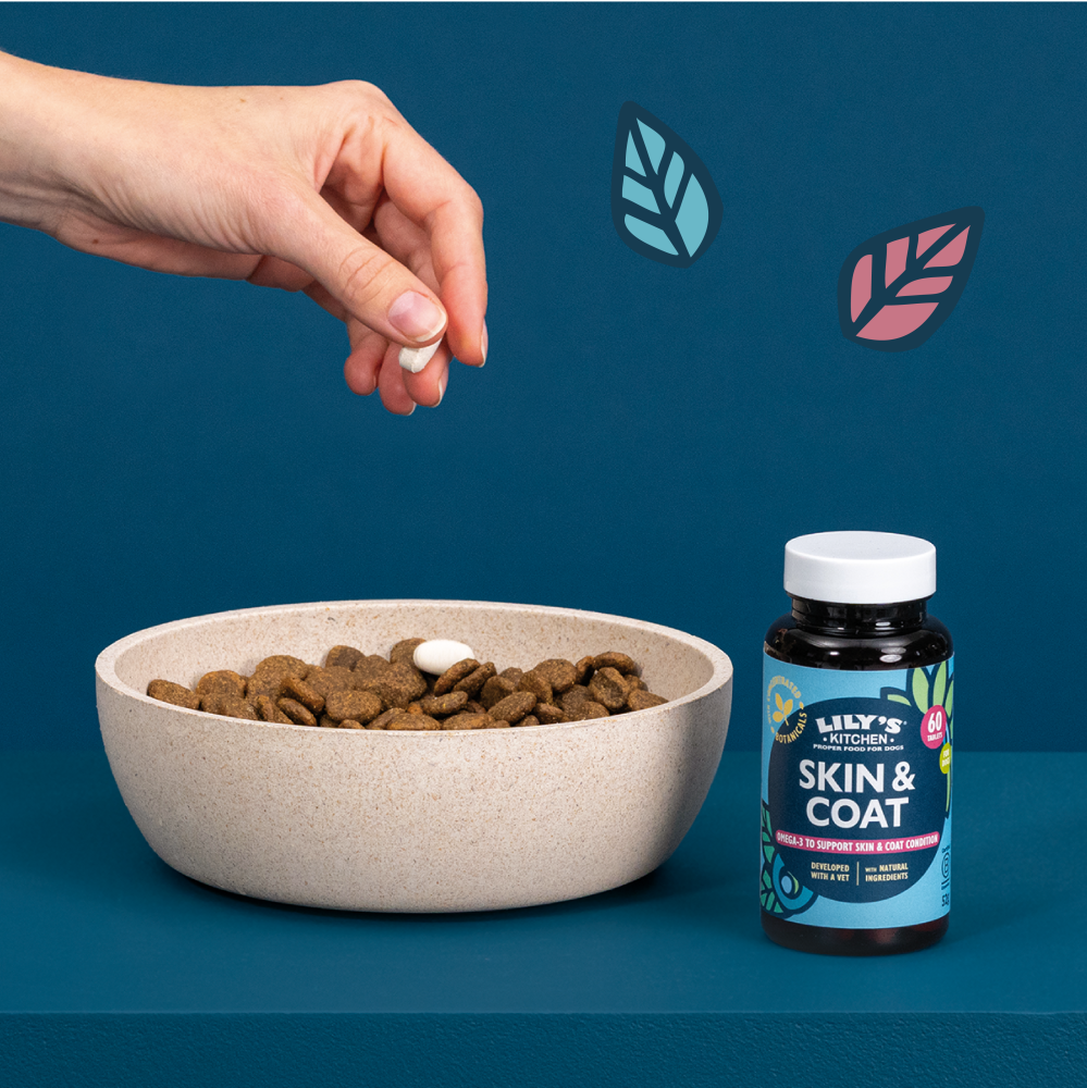 Skin & Coat Supplements for Dogs (60 tablets)