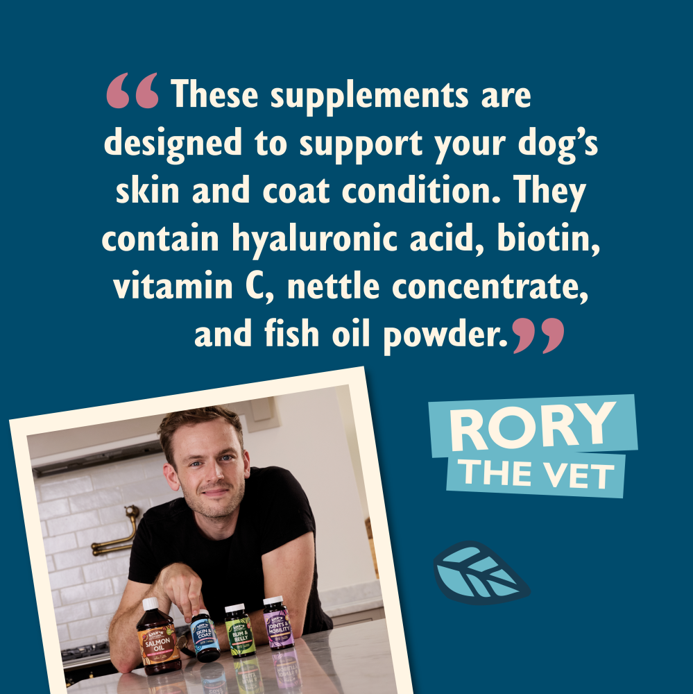 Skin & Coat Supplements for Dogs (60 tablets)