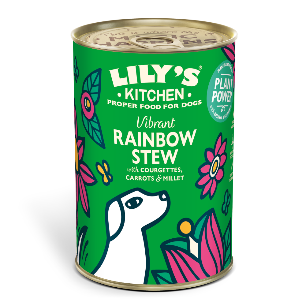Vibrant Rainbow Stew Vegan Recipe (400g)
