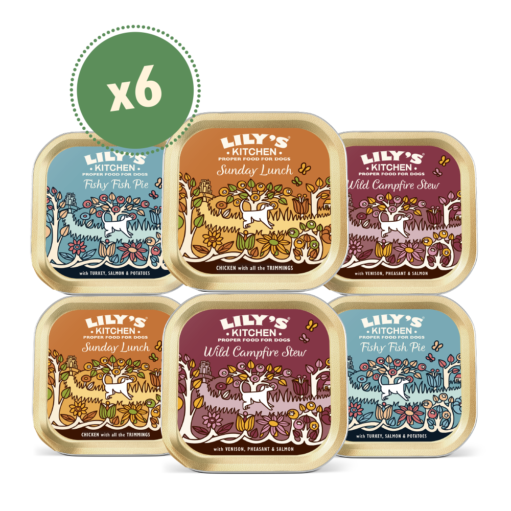 Grain Free Recipes Multipack (6 x 150g)