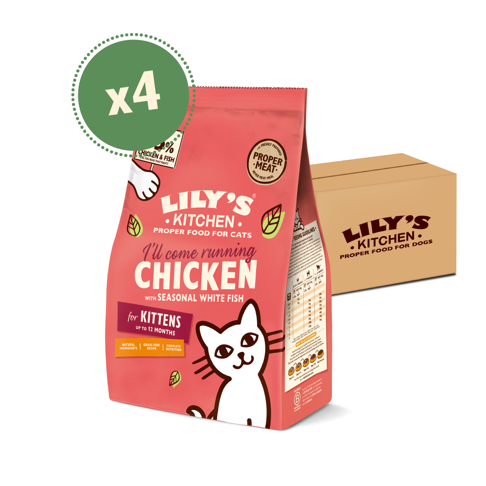 Chicken Fish Dry Kitten Food