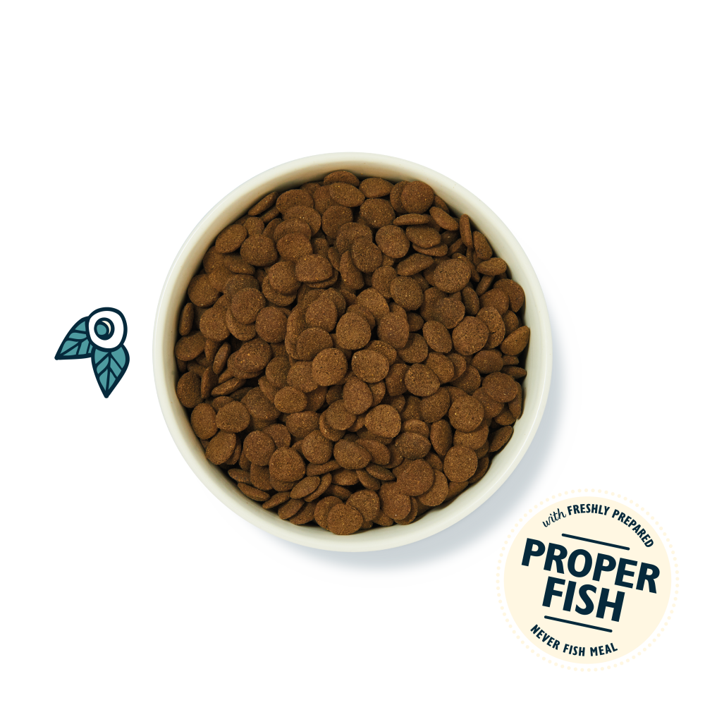 Salmon Dry Food (2 x 7kg)