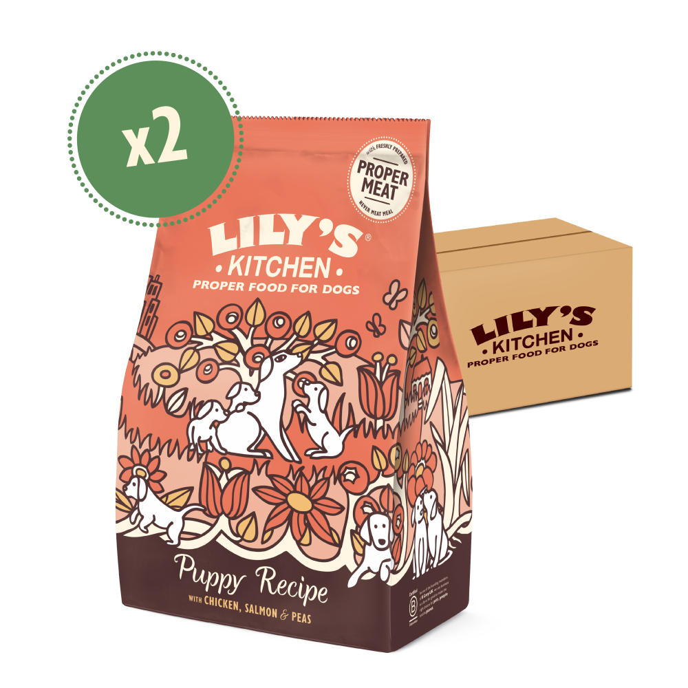 Chicken & Salmon Dry Food for Puppies (2 x 7kg)