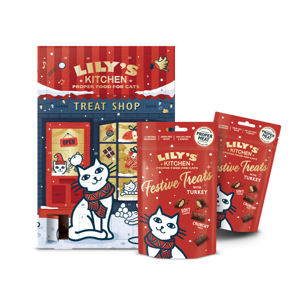 Countdown to Christmas with your Cat