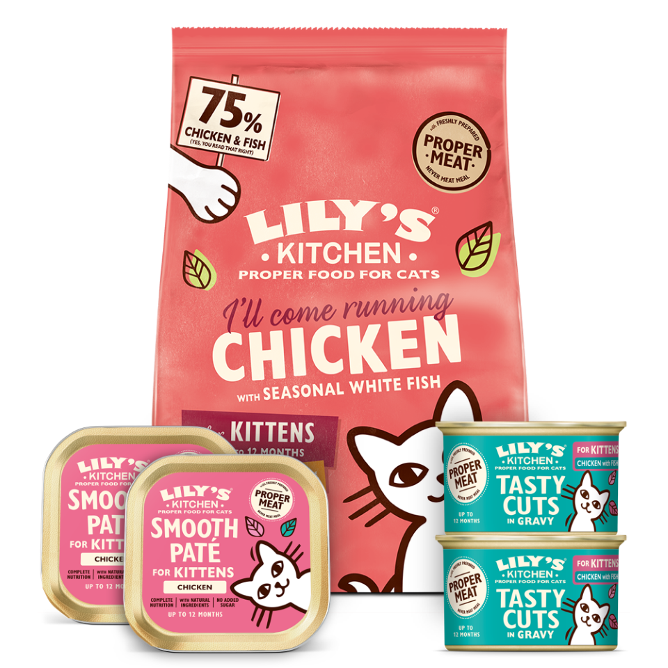 Trial Pack for Kittens