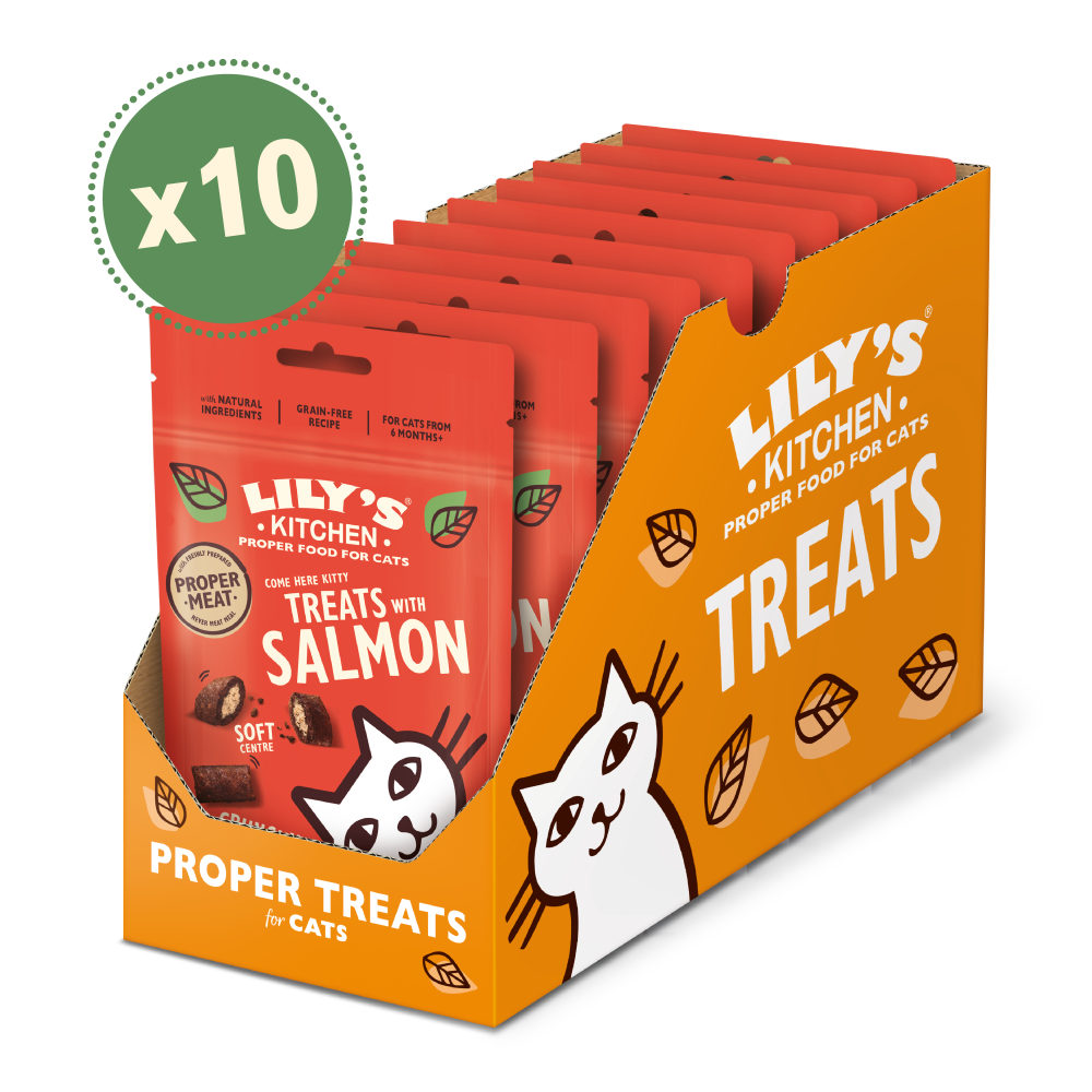 Treats with Salmon (10 x 60g)