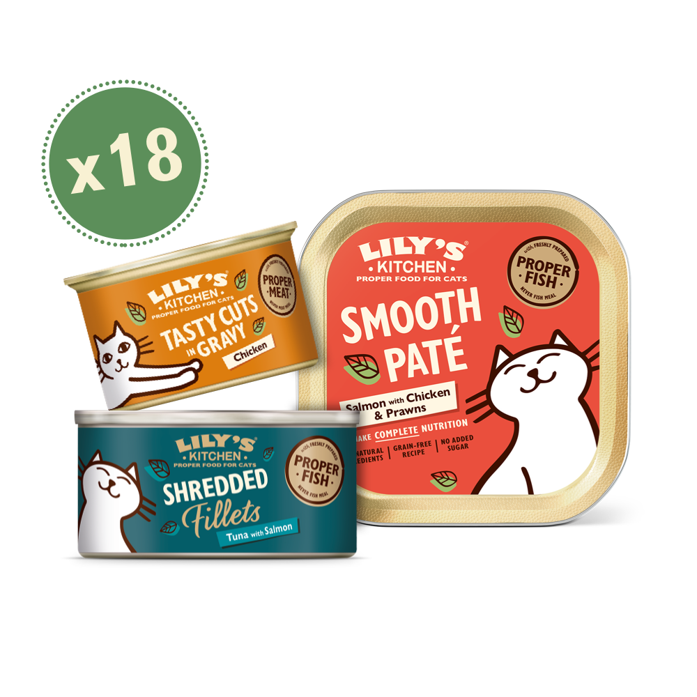 Large Texture Taster Bundle For Cats