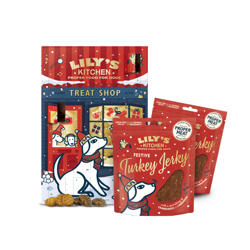 Countdown to Christmas with your Dog