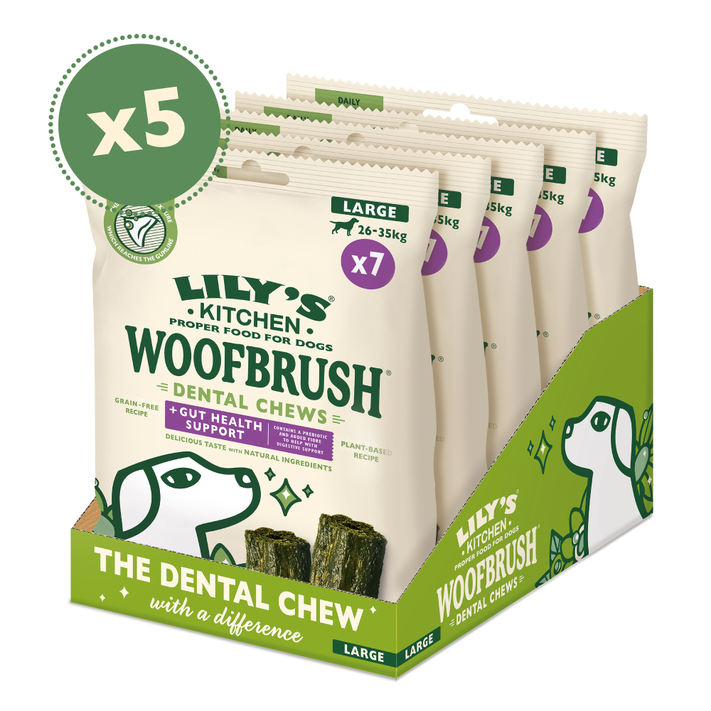 Large Woofbrush Gut Health Dental Chew Multipacks (5 x 329g)