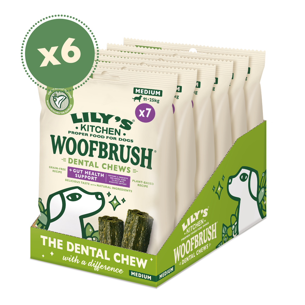 Medium Woofbrush Gut Health Dental Chew Multipacks (6 x 196g)