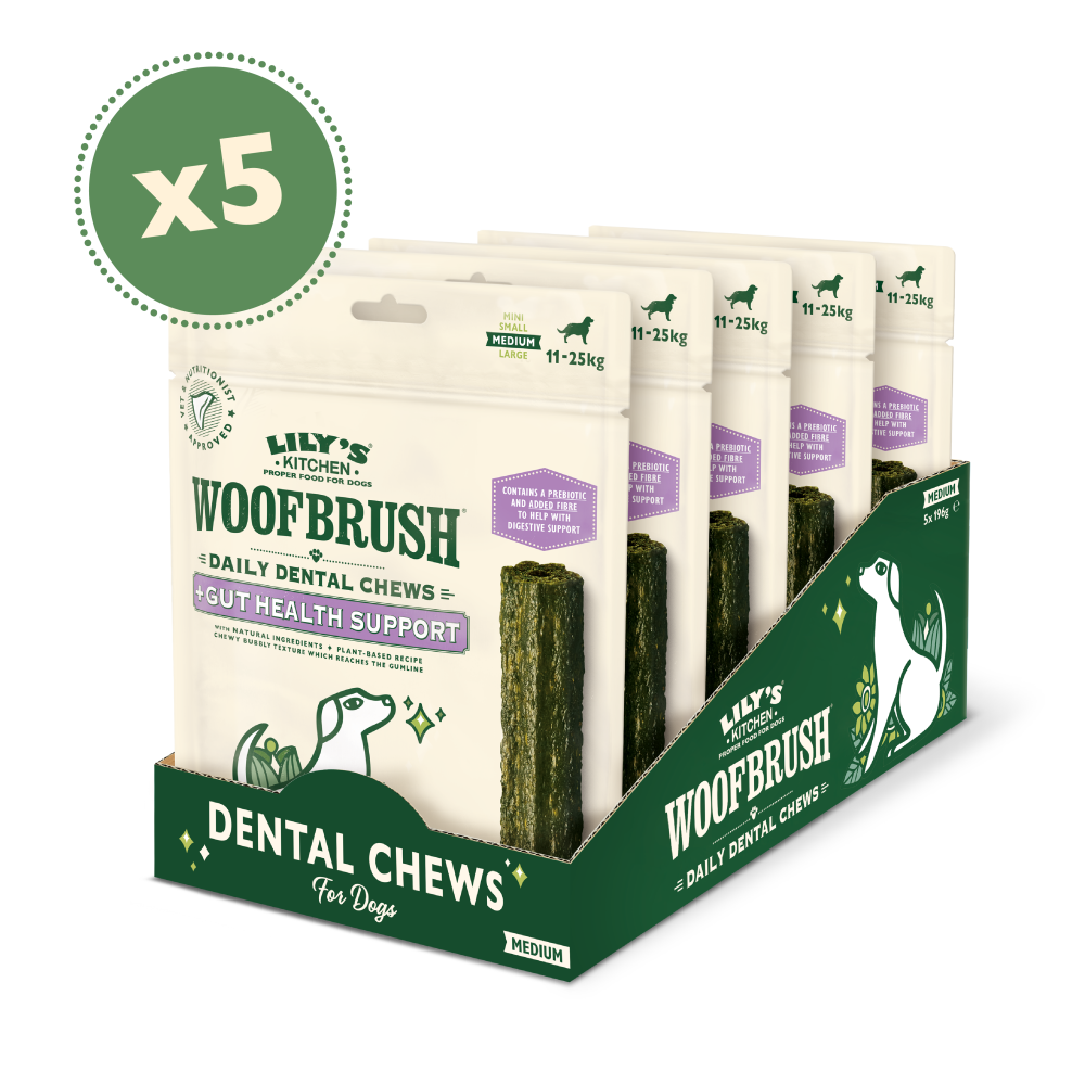 Medium Woofbrush Gut Health Dental Chew (5 x 196g multipacks)
