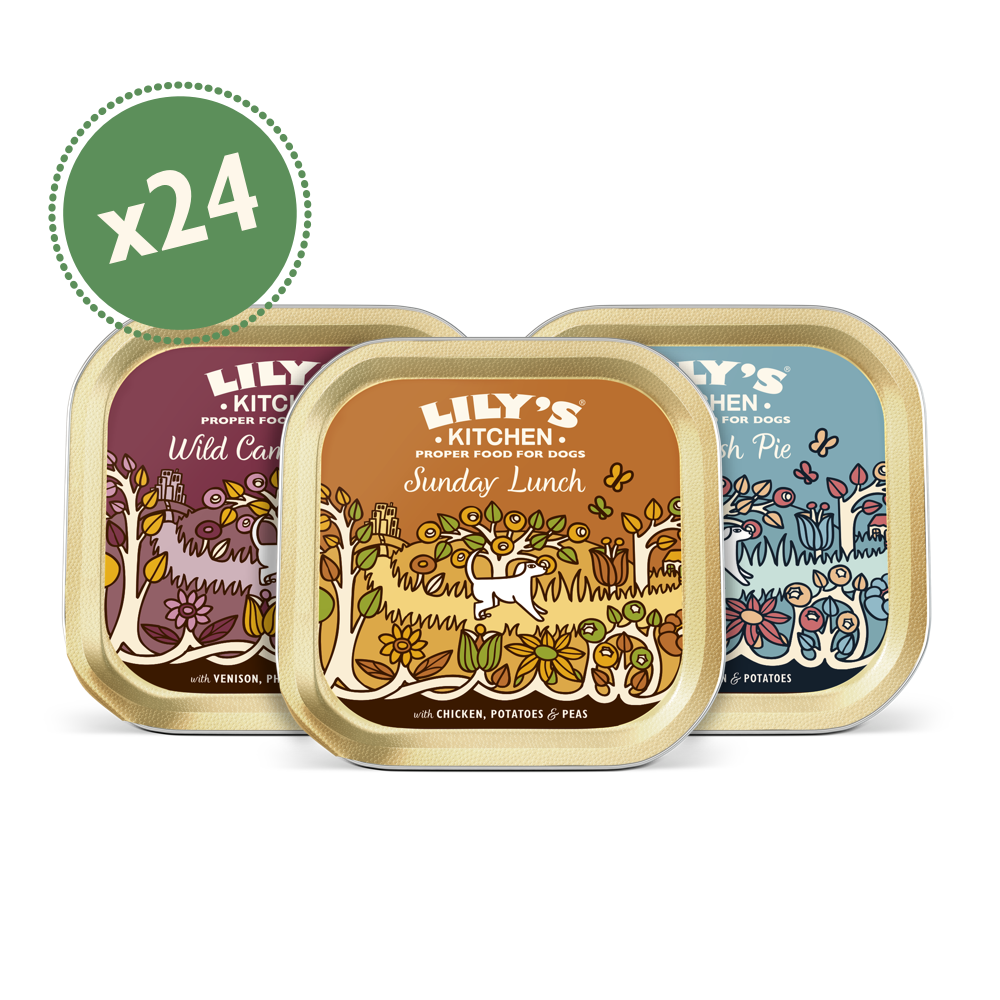 Grain Free Recipes Multipack (24 x 150g)