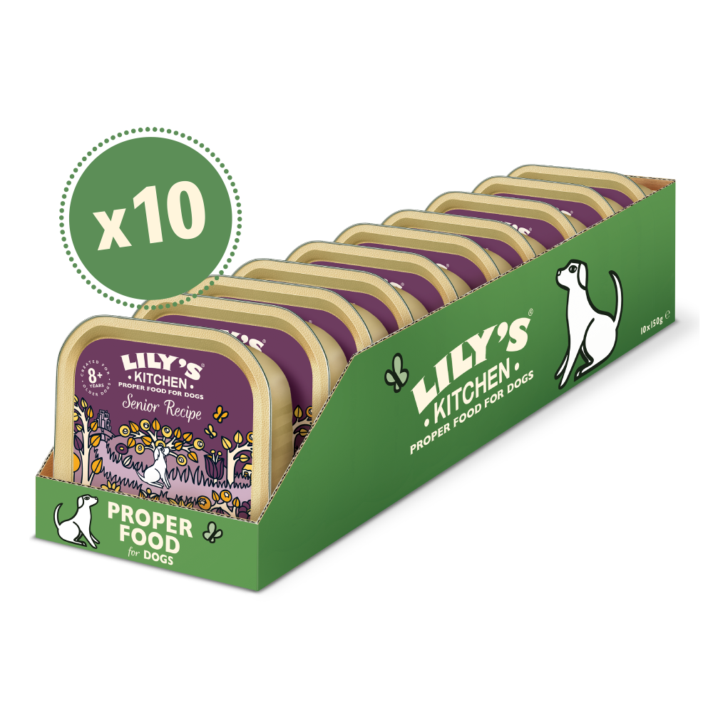 Senior Recipe for Older Dogs (10 x 150g)
