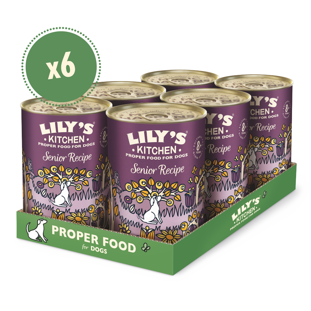 Senior Recipe for Older Dogs (6 x 400g)
