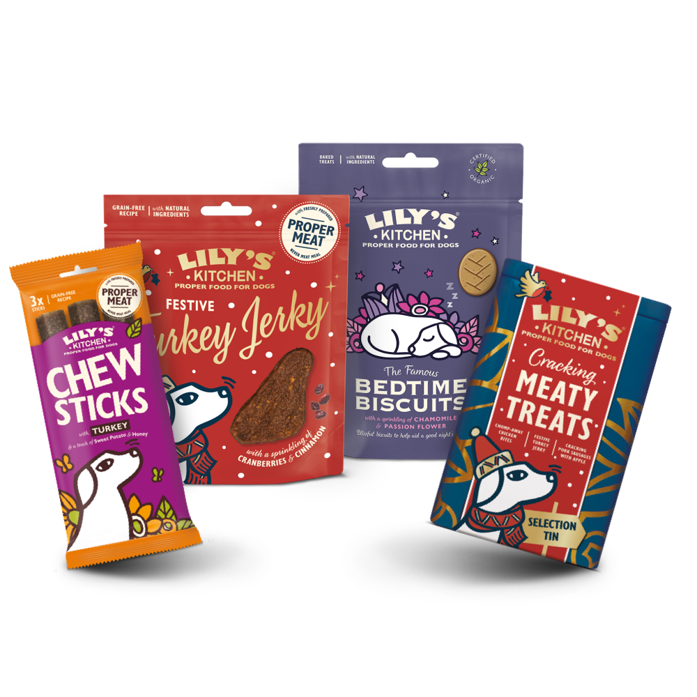 Christmas Stocking Fillers for Dogs