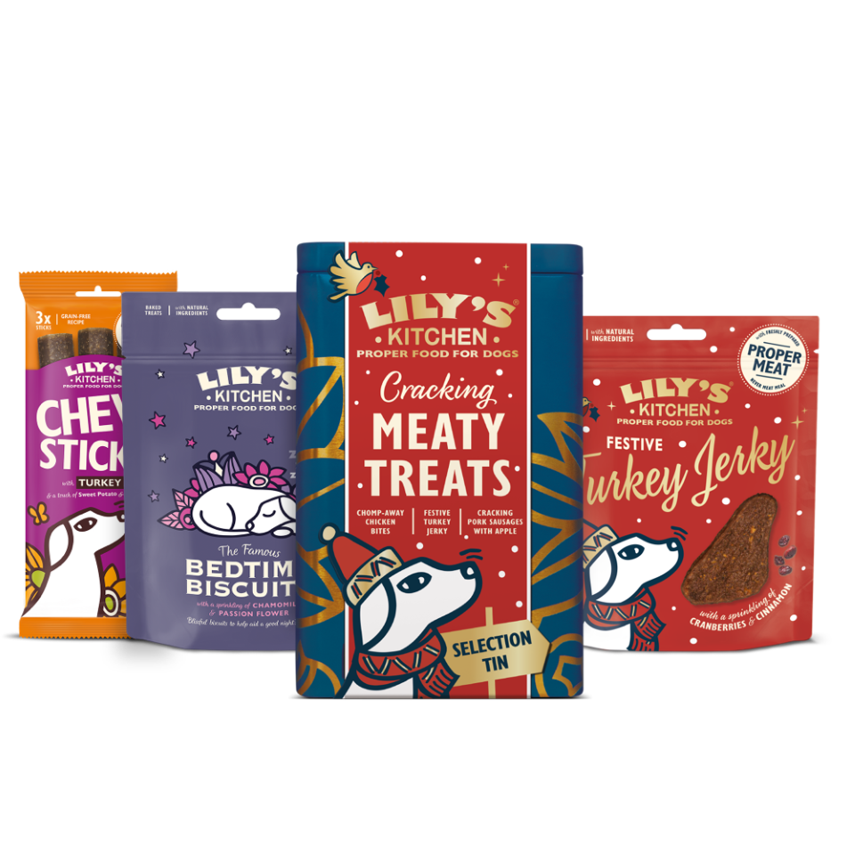 Christmas Stocking Fillers for Dogs