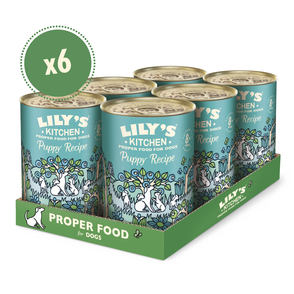 Turkey & Duck Puppy Recipe (6 x 400g)