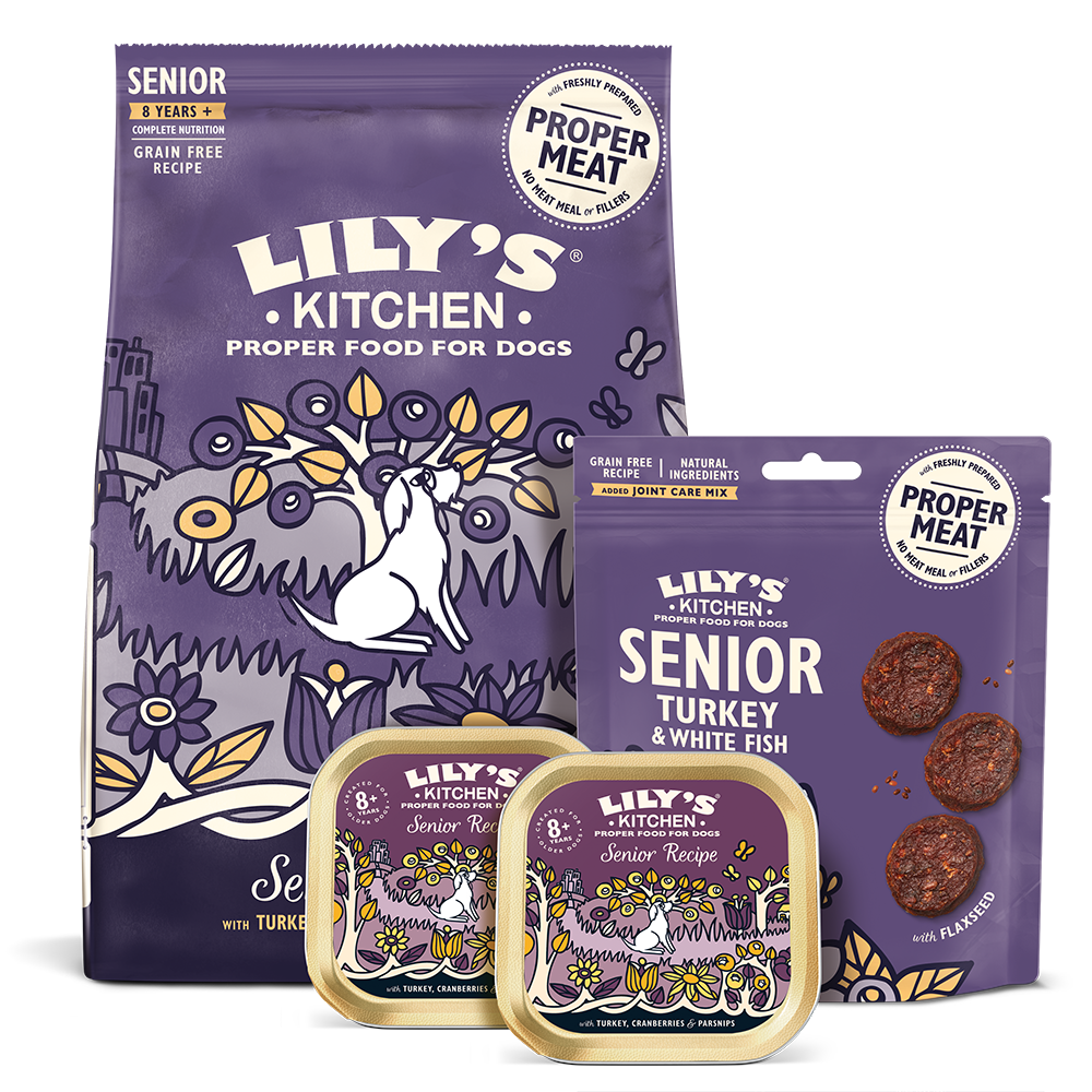 Trial Pack Senior Dogs