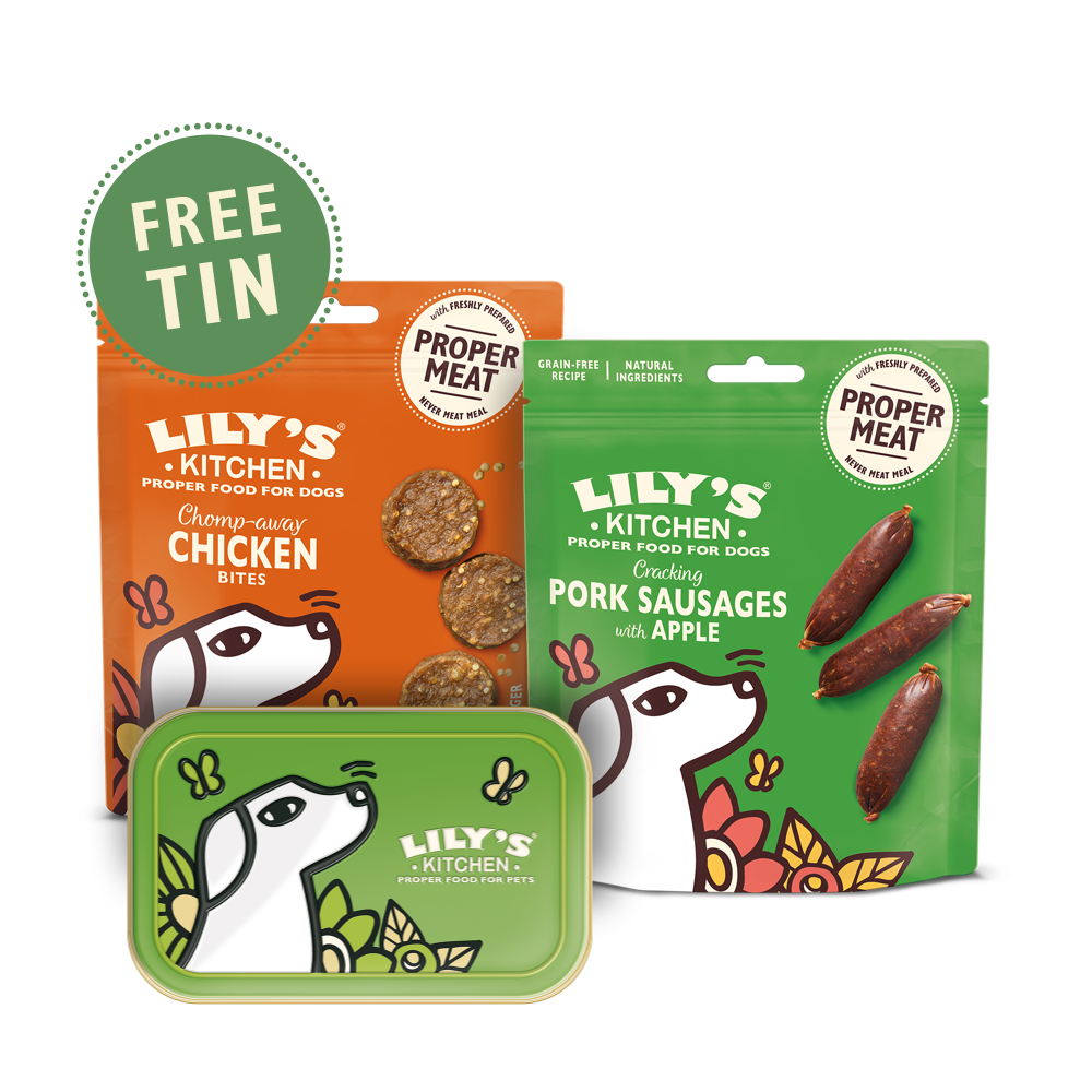 Tasty Treat Taster Bundle For Dogs