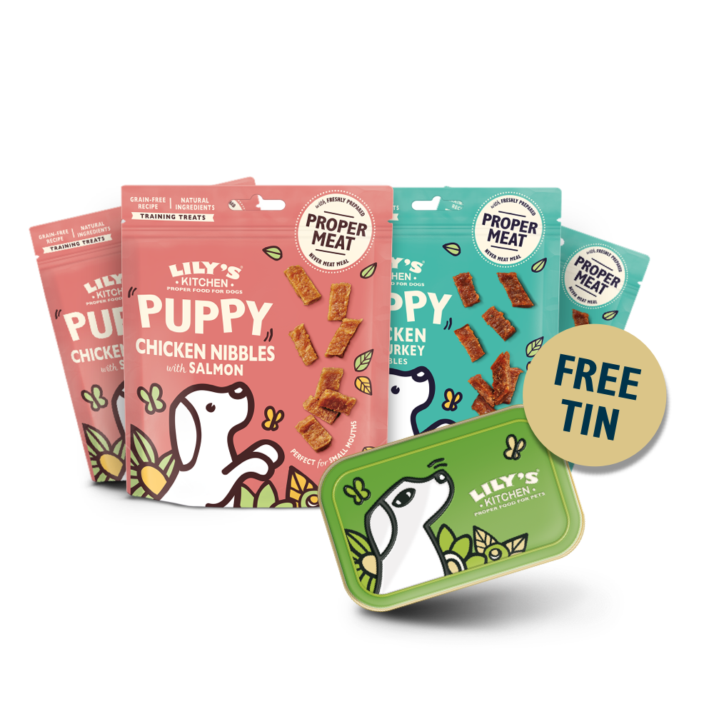 First Christmas Bundle for Puppies