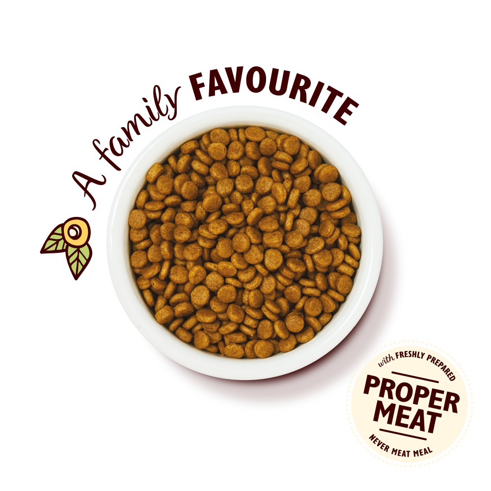 Chicken with White Fish Dry Kitten Food (4 x 800g)