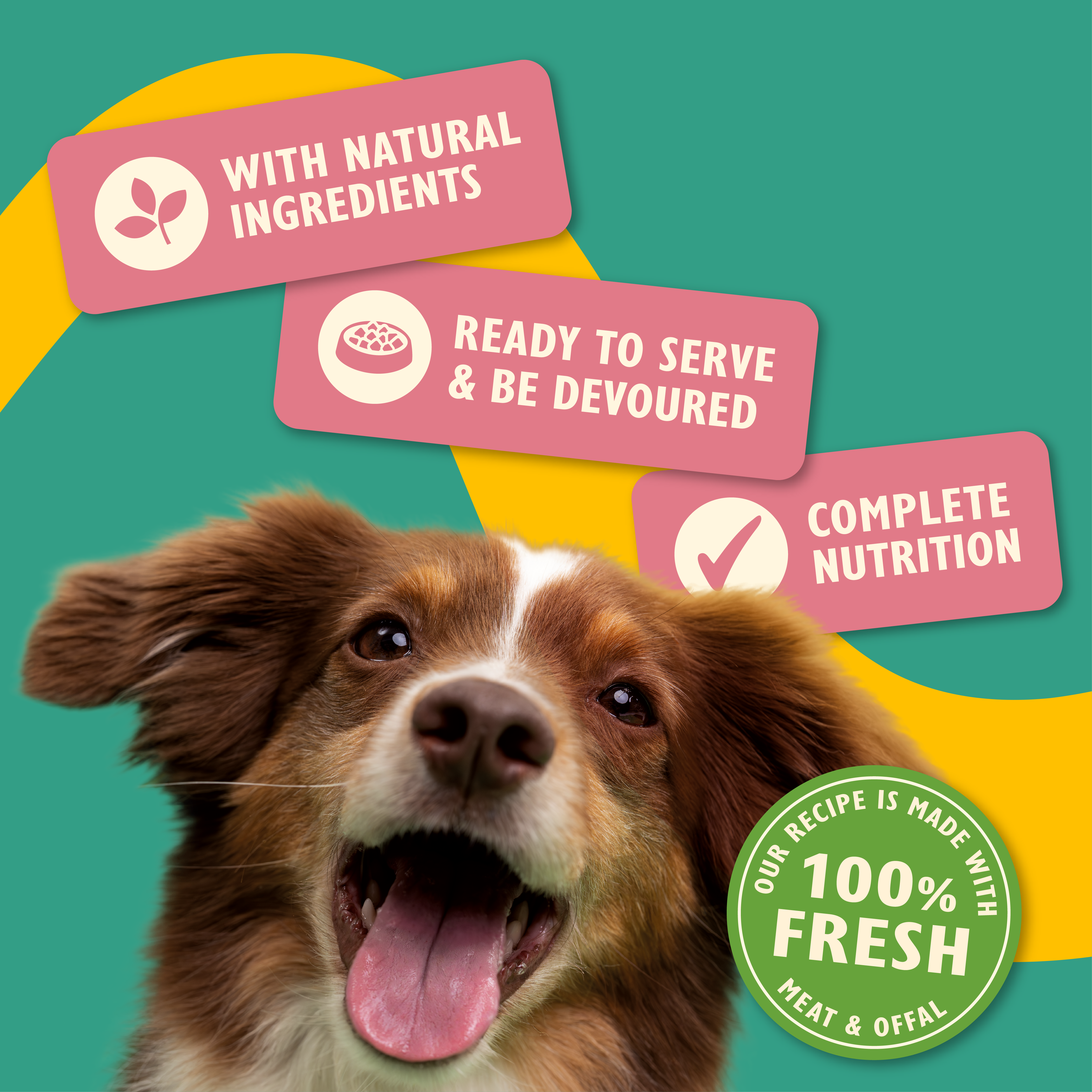 Fresh Recipes Taster