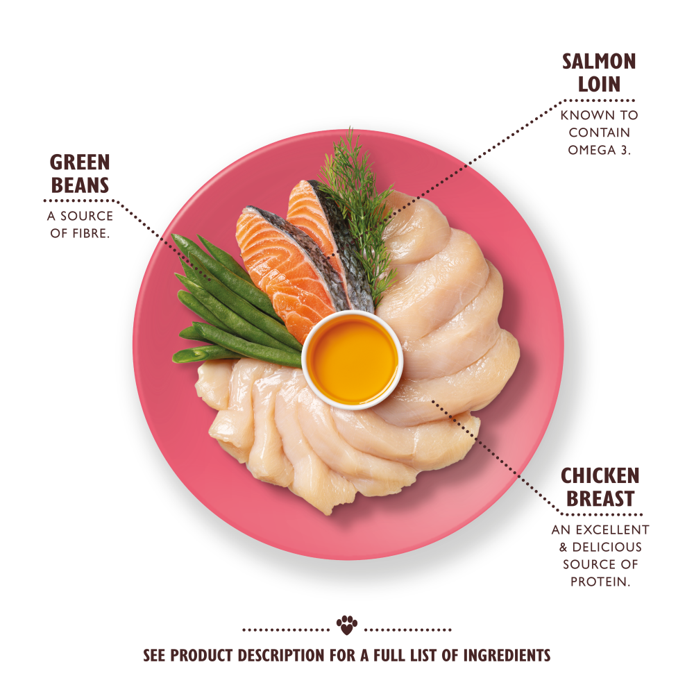 Ultimate Chicken Stew with Salmon & Green Beans (85g)