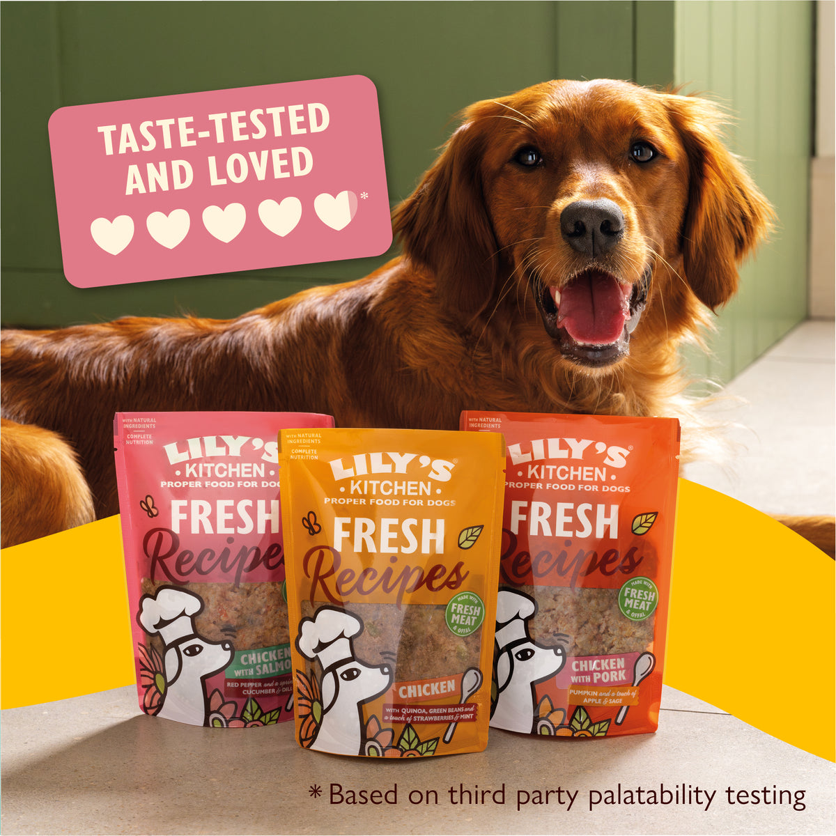 Fresh Recipes Taster (3 x 300g)
