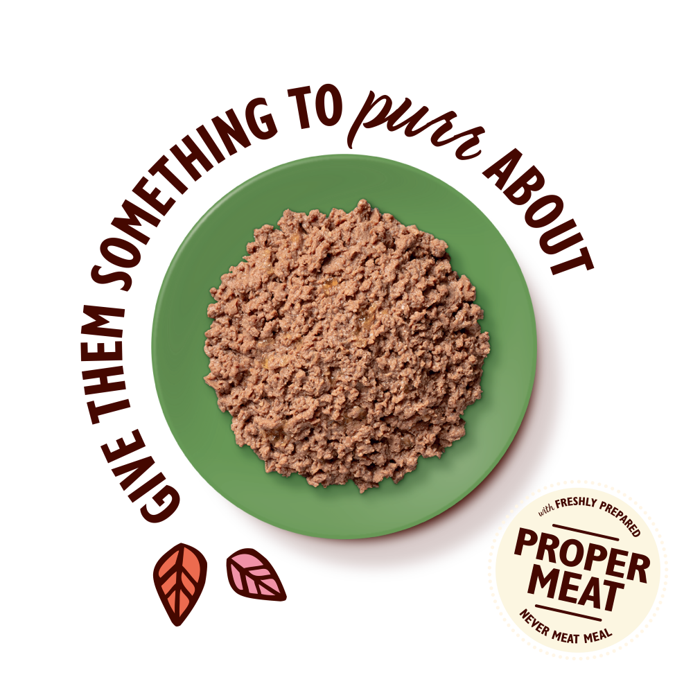 Lamb Paté (19 x 85g)