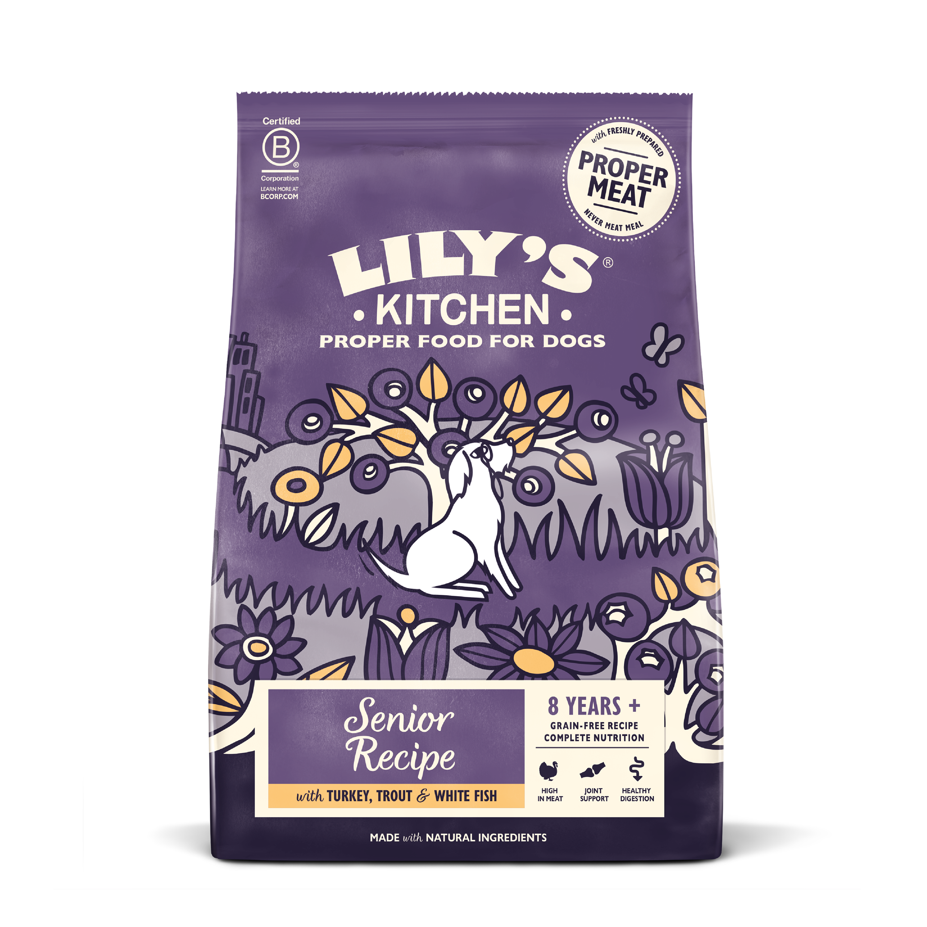 Turkey & Trout Dry Food for Senior Dogs