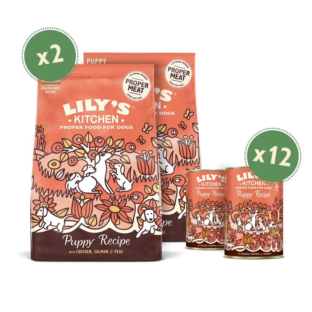 Lily's Kitchen Puppy Recipe dog food set showing one large bag and two smaller cans, with green circular badges indicating 2 bags and 12 cans, on a white background.