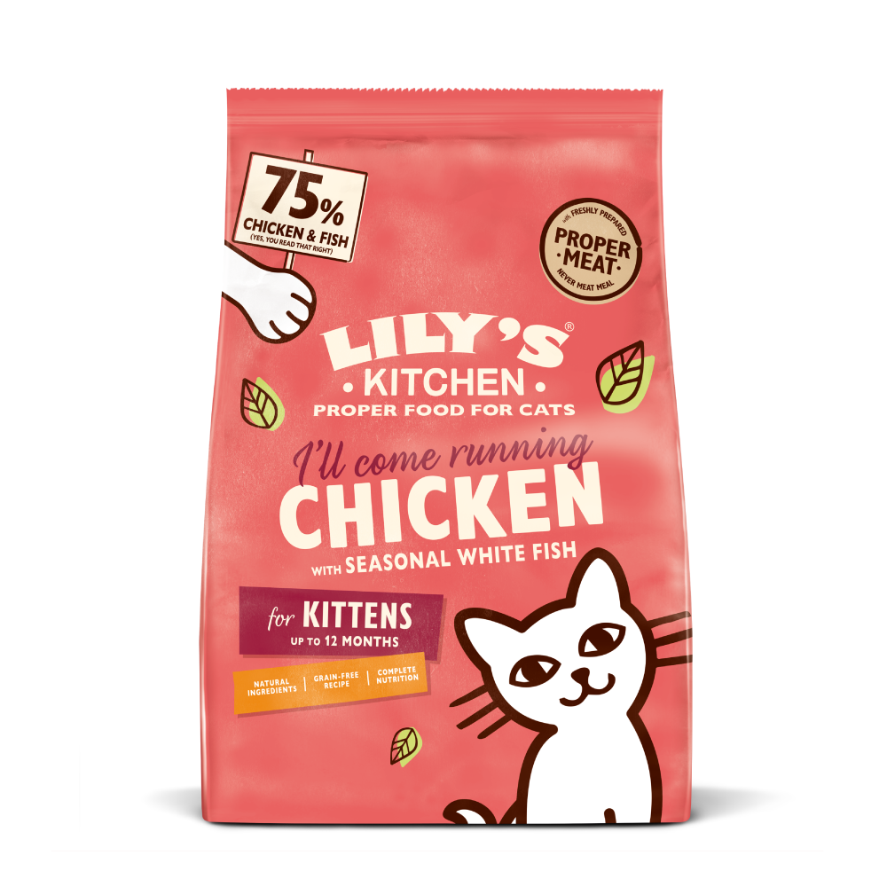 Chicken Fish Kitten Dry Food