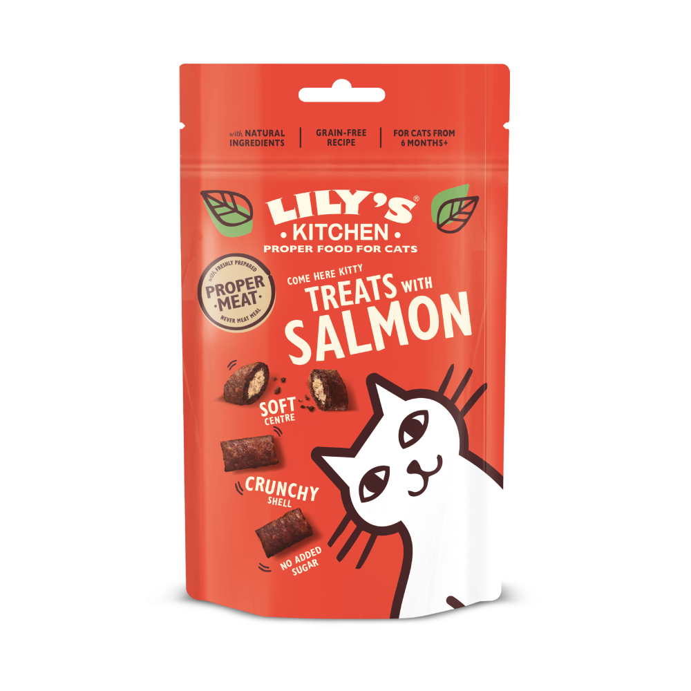 Treats with Salmon (60g)