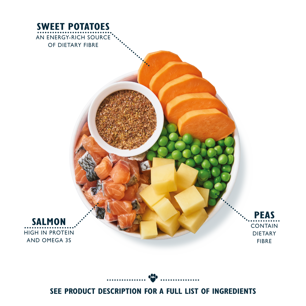 Salmon Dry Food