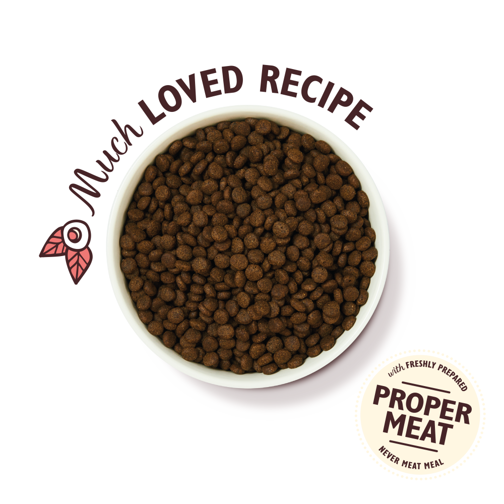 Chicken & Salmon Dry Food for Puppies