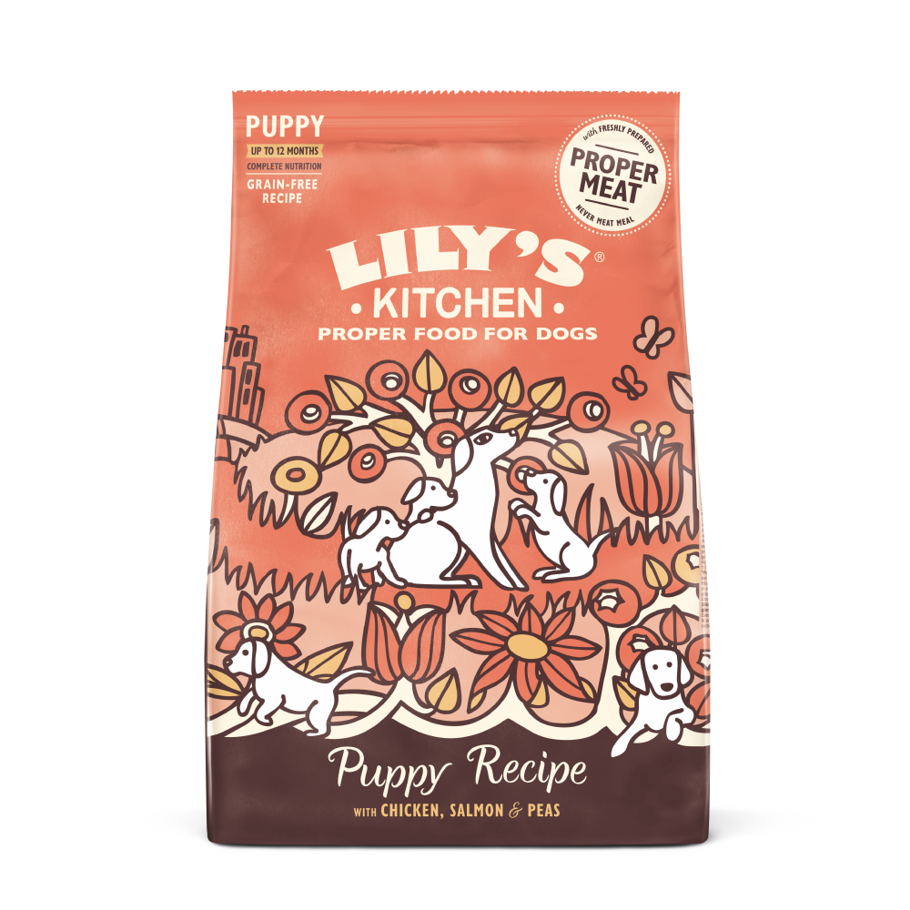 Chicken & Salmon Dry Food for Puppies