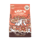 Chicken & Salmon Dry Food for Puppies