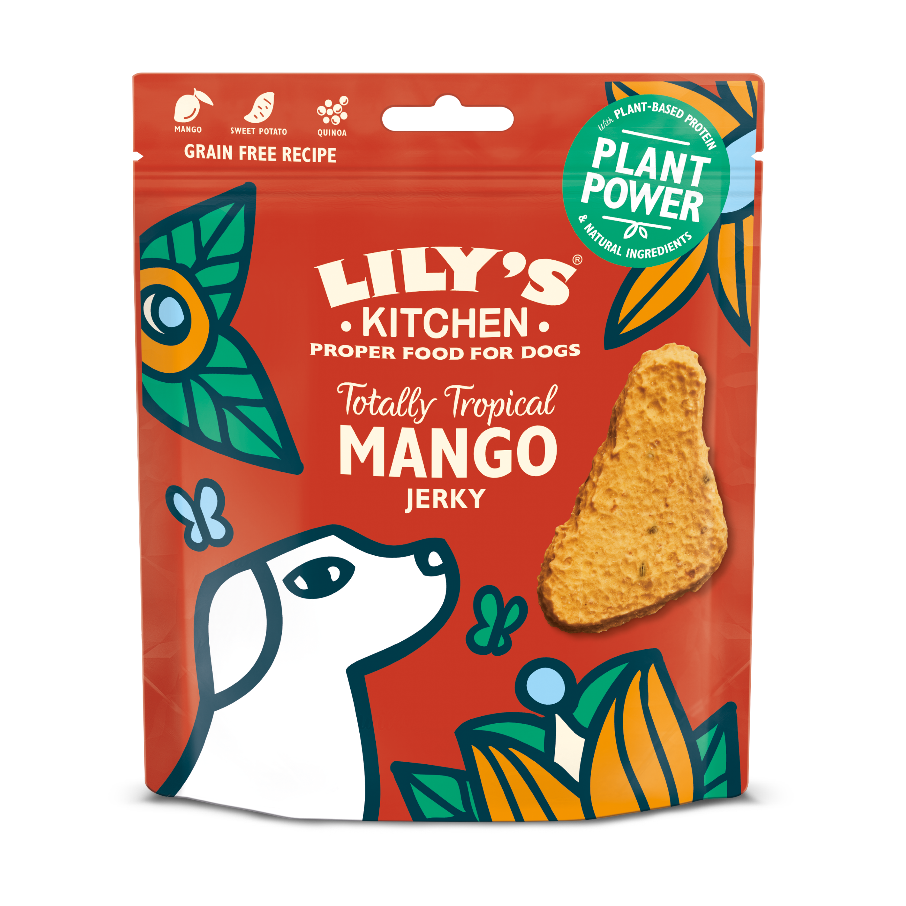 Tropical Mango Jerky (70g)