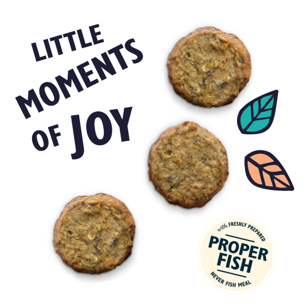 Salmon Fishcakes with White Fish & Dill (70g)