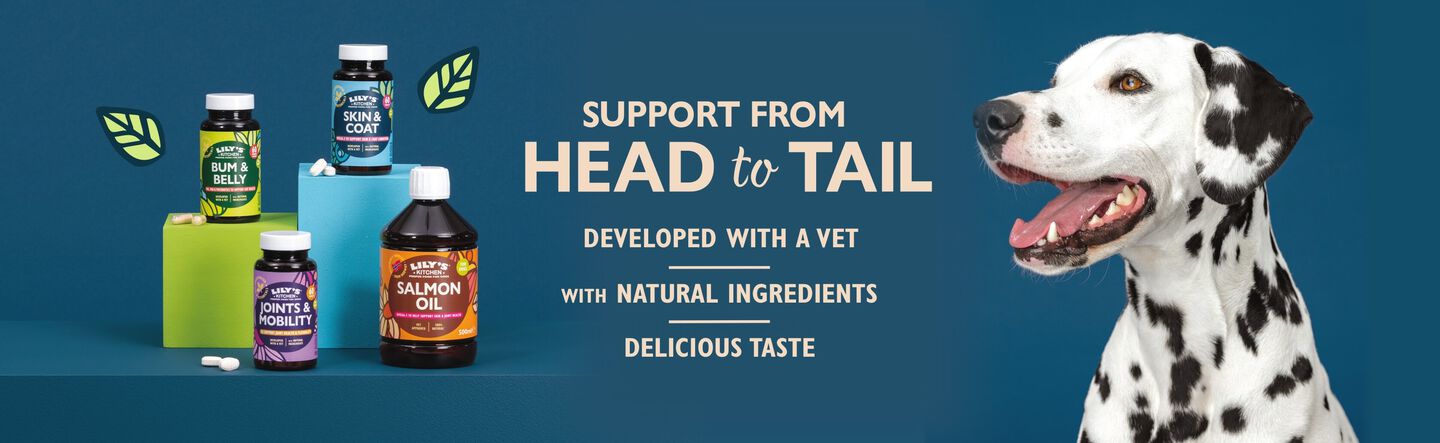 Supplements for dogs
