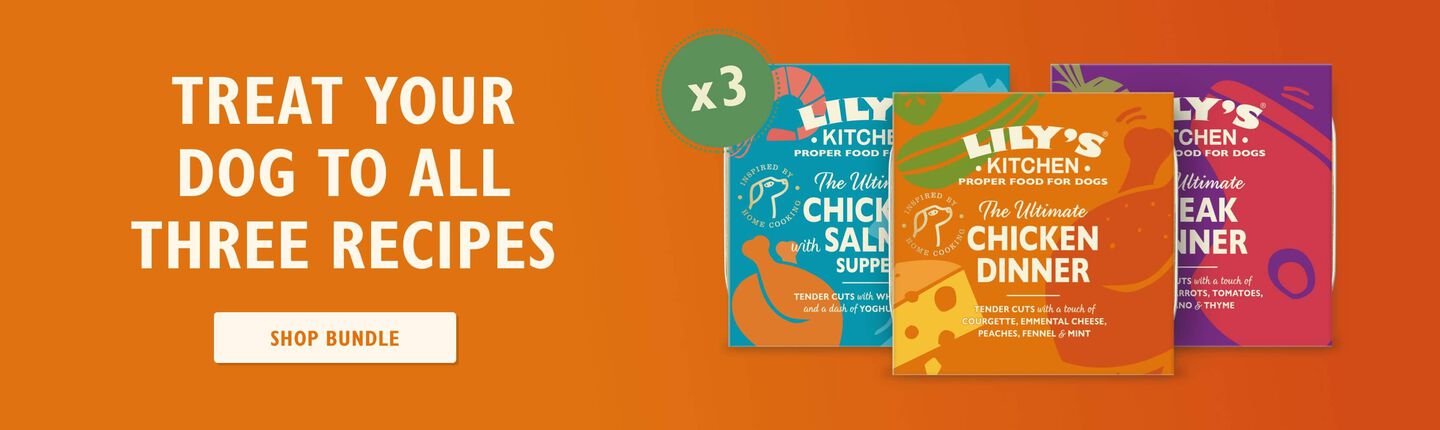 Ultimate suppers bundle for foodie dogs