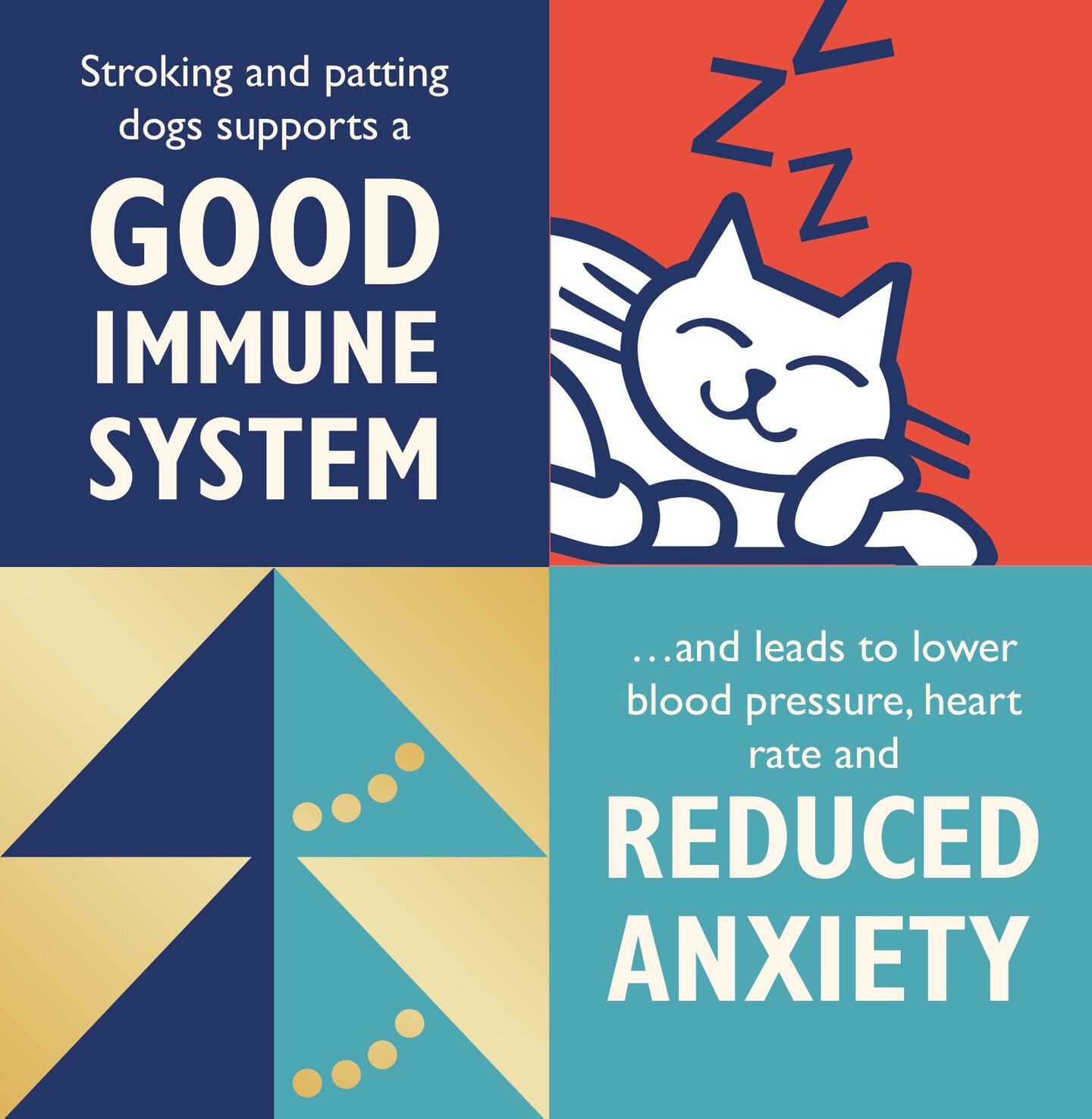 image and text banner