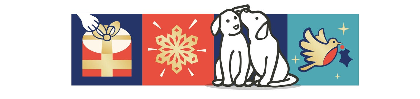 main banner