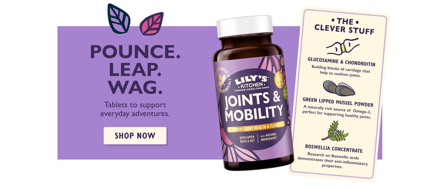 Joints & Mobility Supplements for Dogs