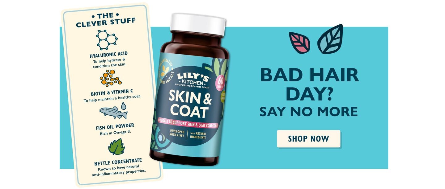 Skin & Coat Supplements for Dogs