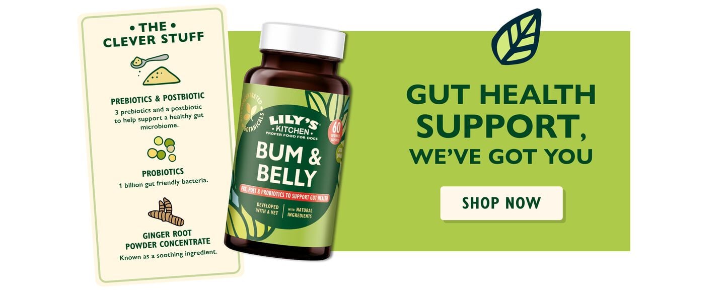 Bum & Belly Supplements for Dogs