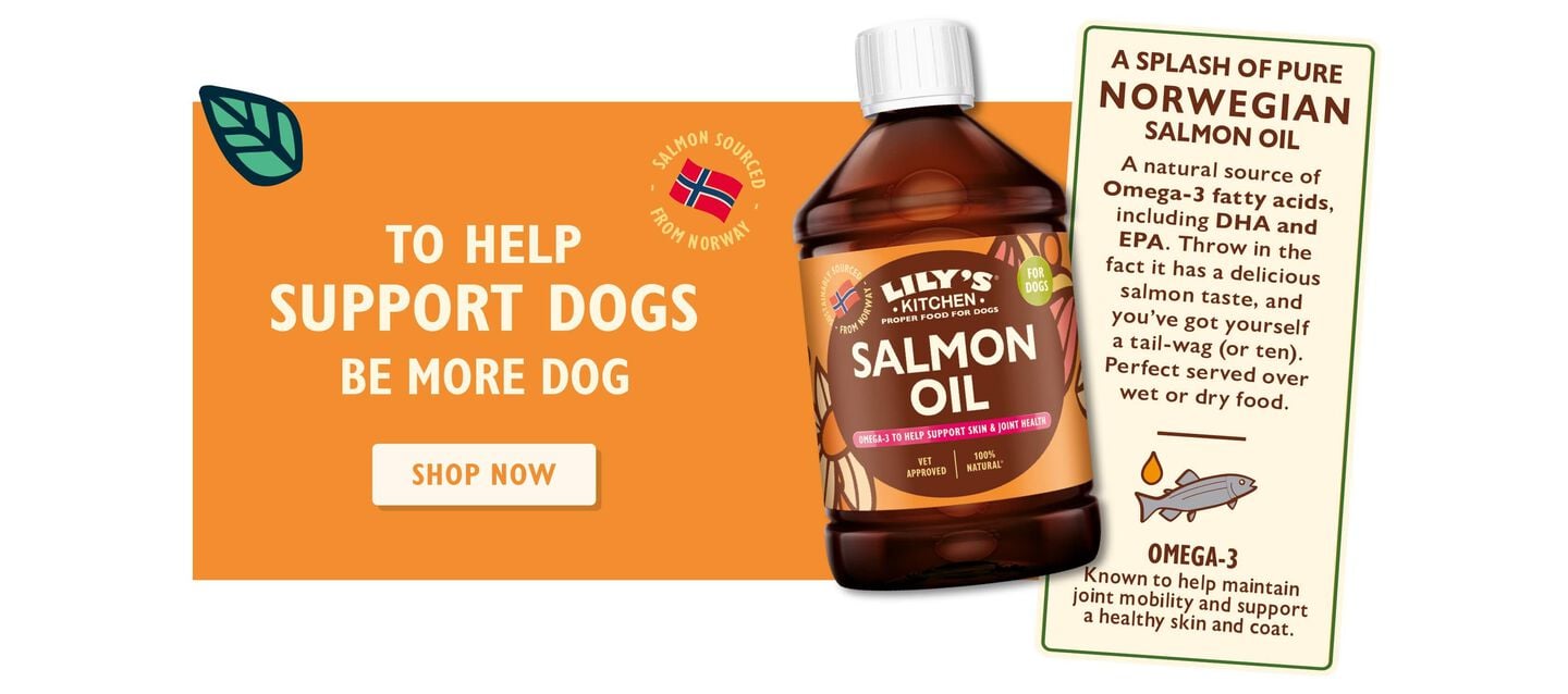 Norwegian Salmon Oil for Dogs